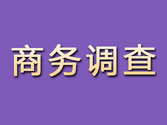 迎泽商务调查